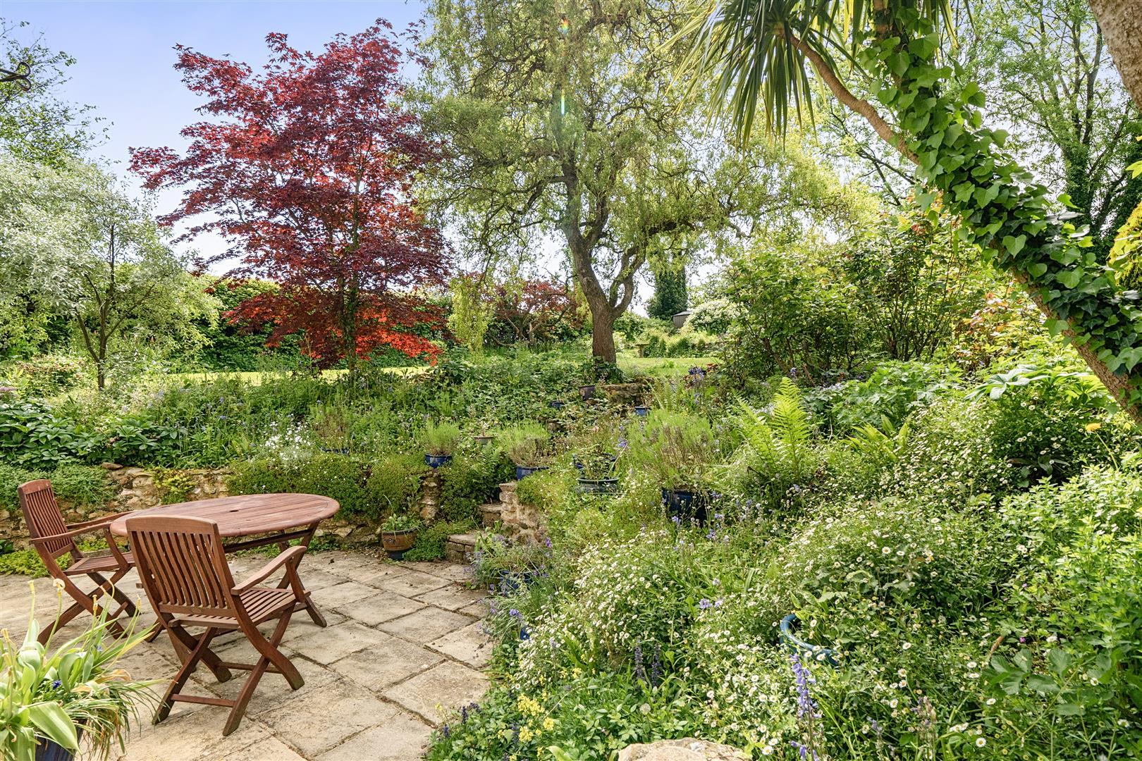 Property Image ee009888-b267-4e2d-8e14-636d01edb50e