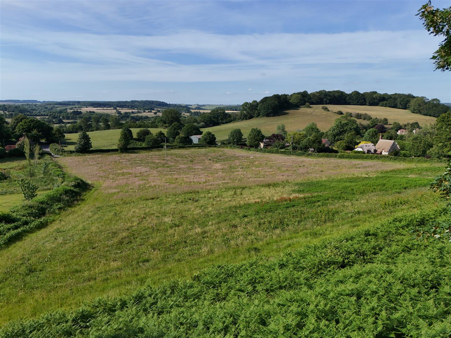 Property Image ee1b005e-68c6-4ad7-8d57-6e2c6f0139b7