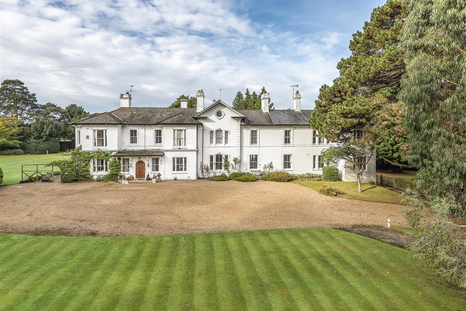 Property Image ee392fcd-f607-46b4-84fc-97ade10a00c8