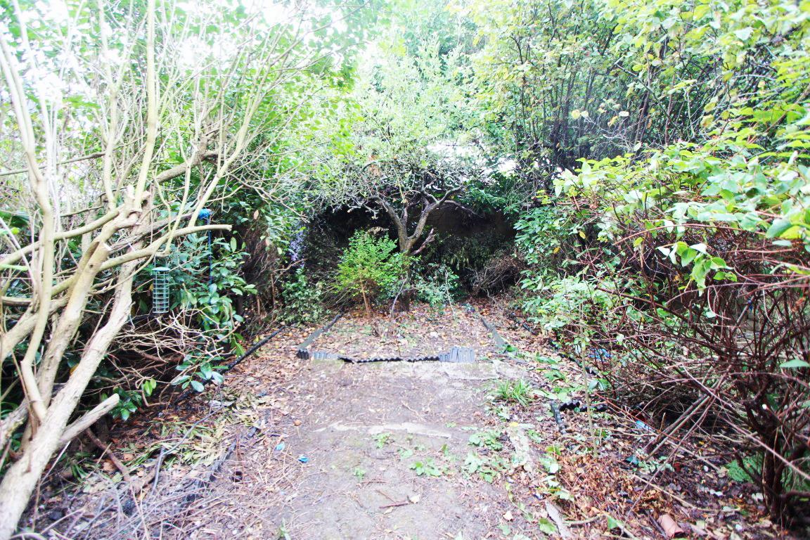 Property Image ee3ebbd8-c981-4ec7-9df1-5df9108f298e