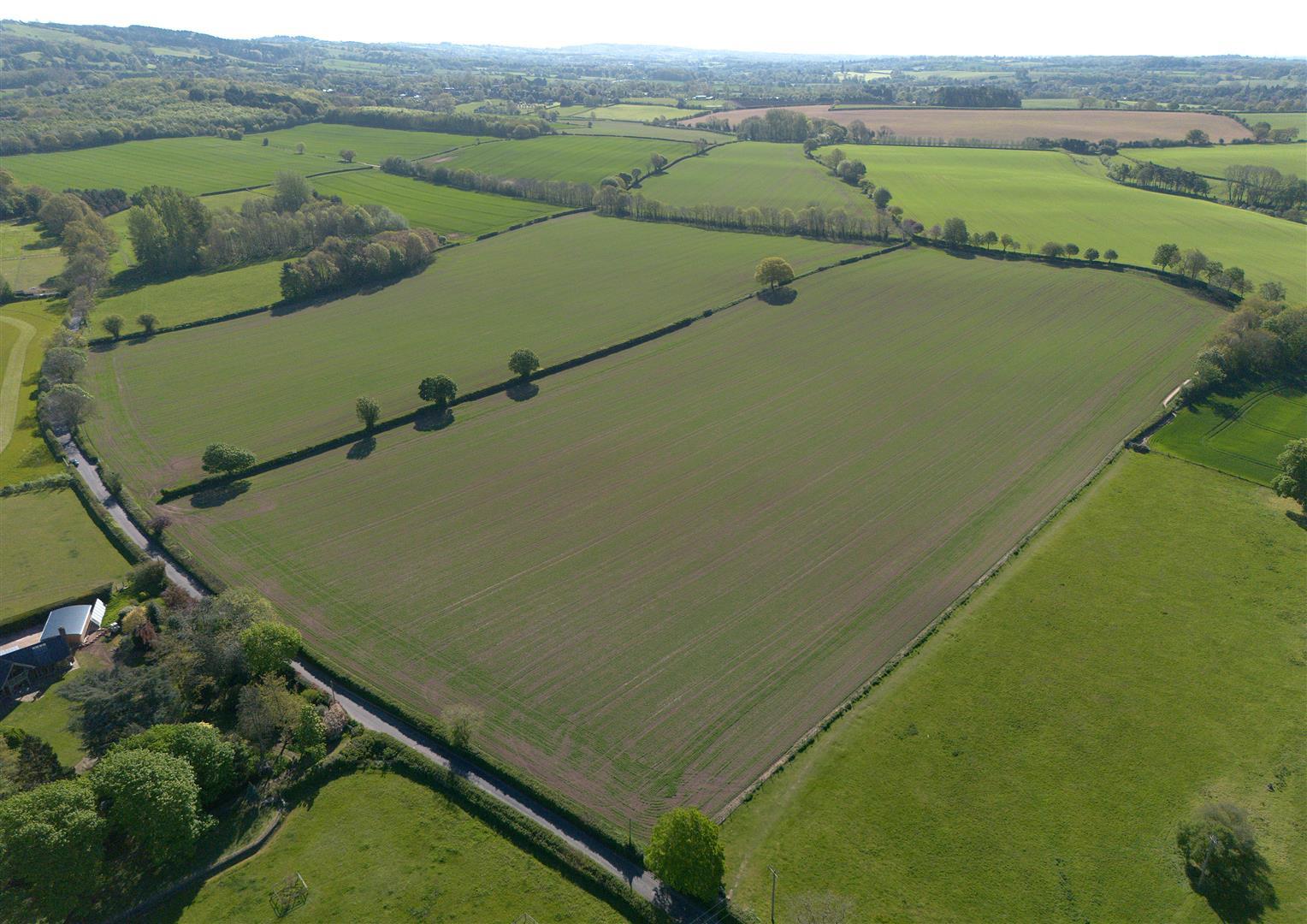 Property Image ee406b88-4b01-4bc8-9e5a-6e0e038b6aa5