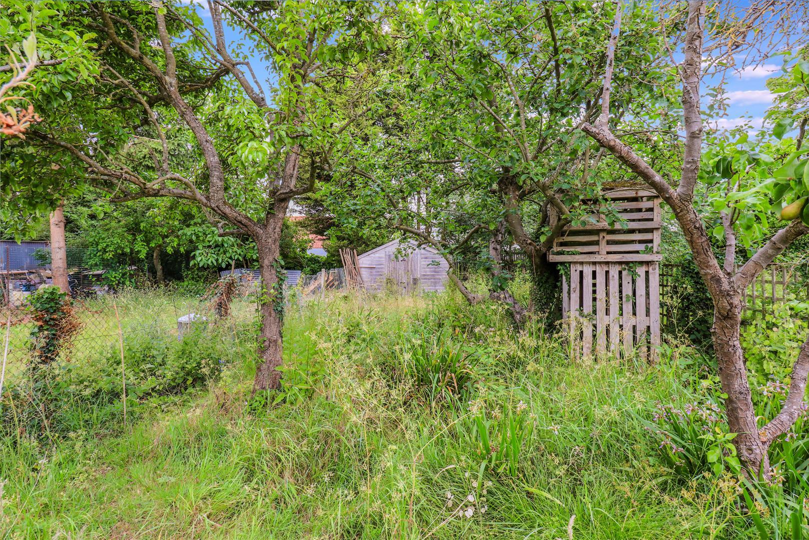 Property Image ee4f327e-9486-4a19-9a54-ba62b43cf26f