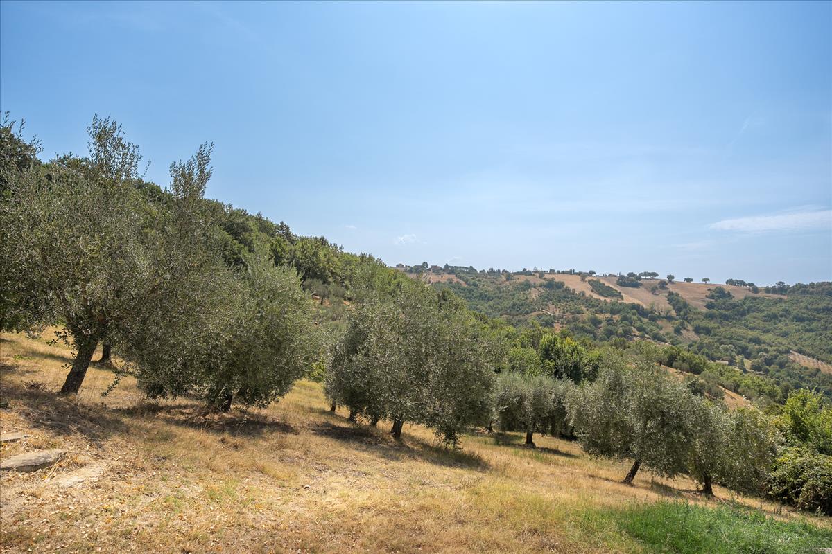 Property Image ee9728cc-d19a-4ecb-a15a-752bc2a978fc