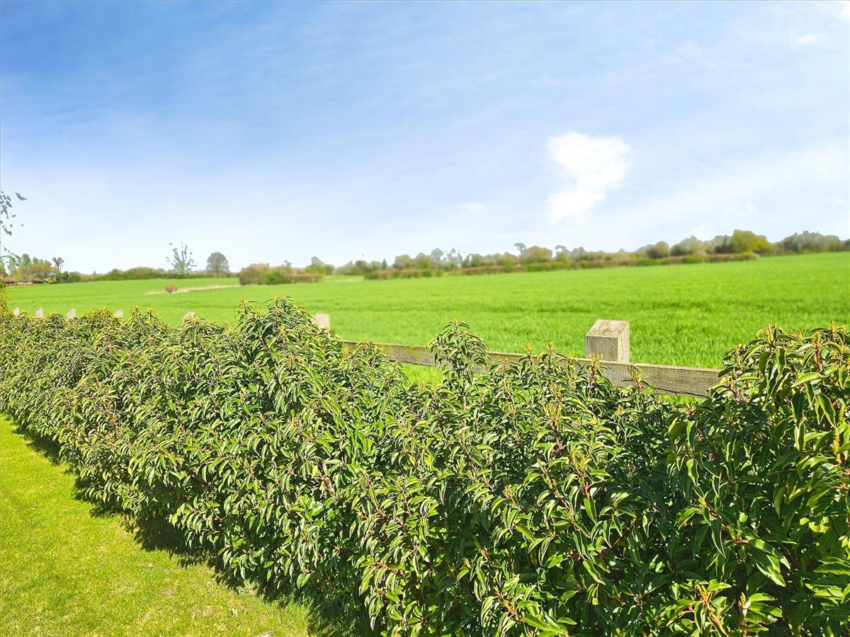 Property Image eeb31104-8939-4729-8279-f3b3b8f3d73c