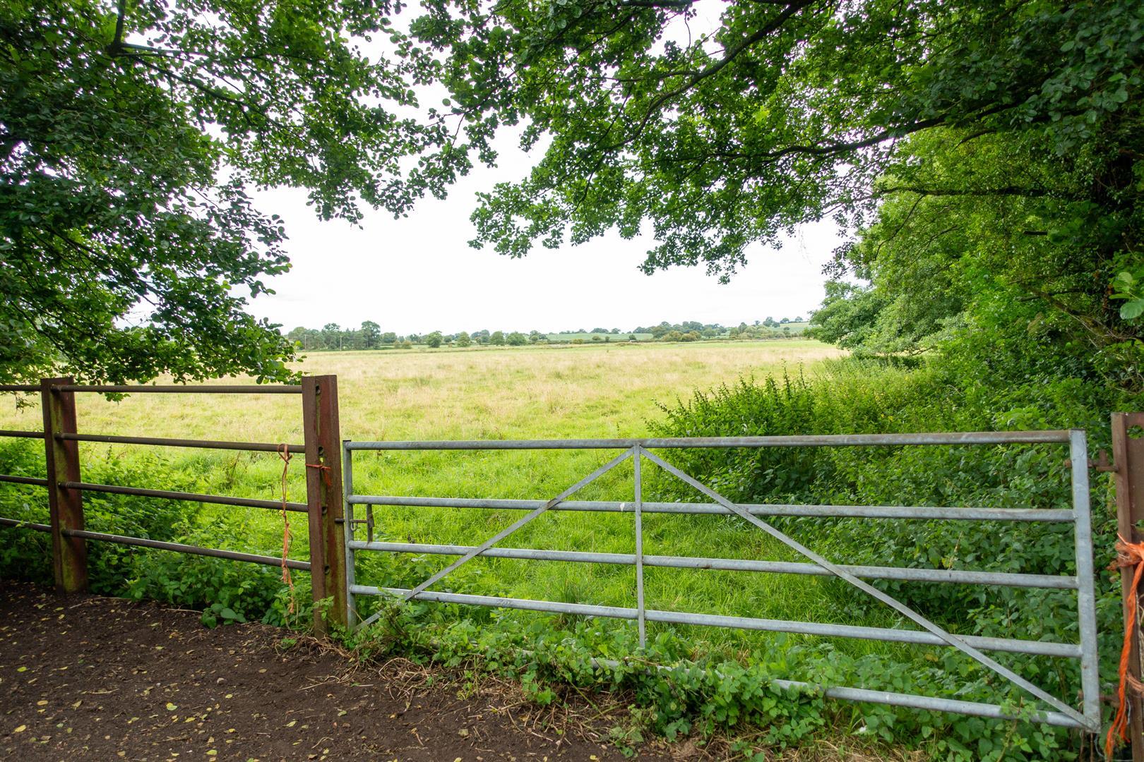 Property Image eeeb8cc5-dd7e-46c5-afae-aaa0d3f2fdf3