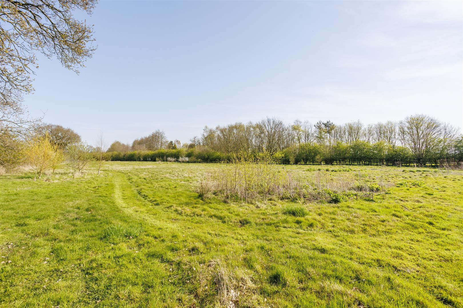 Image 26