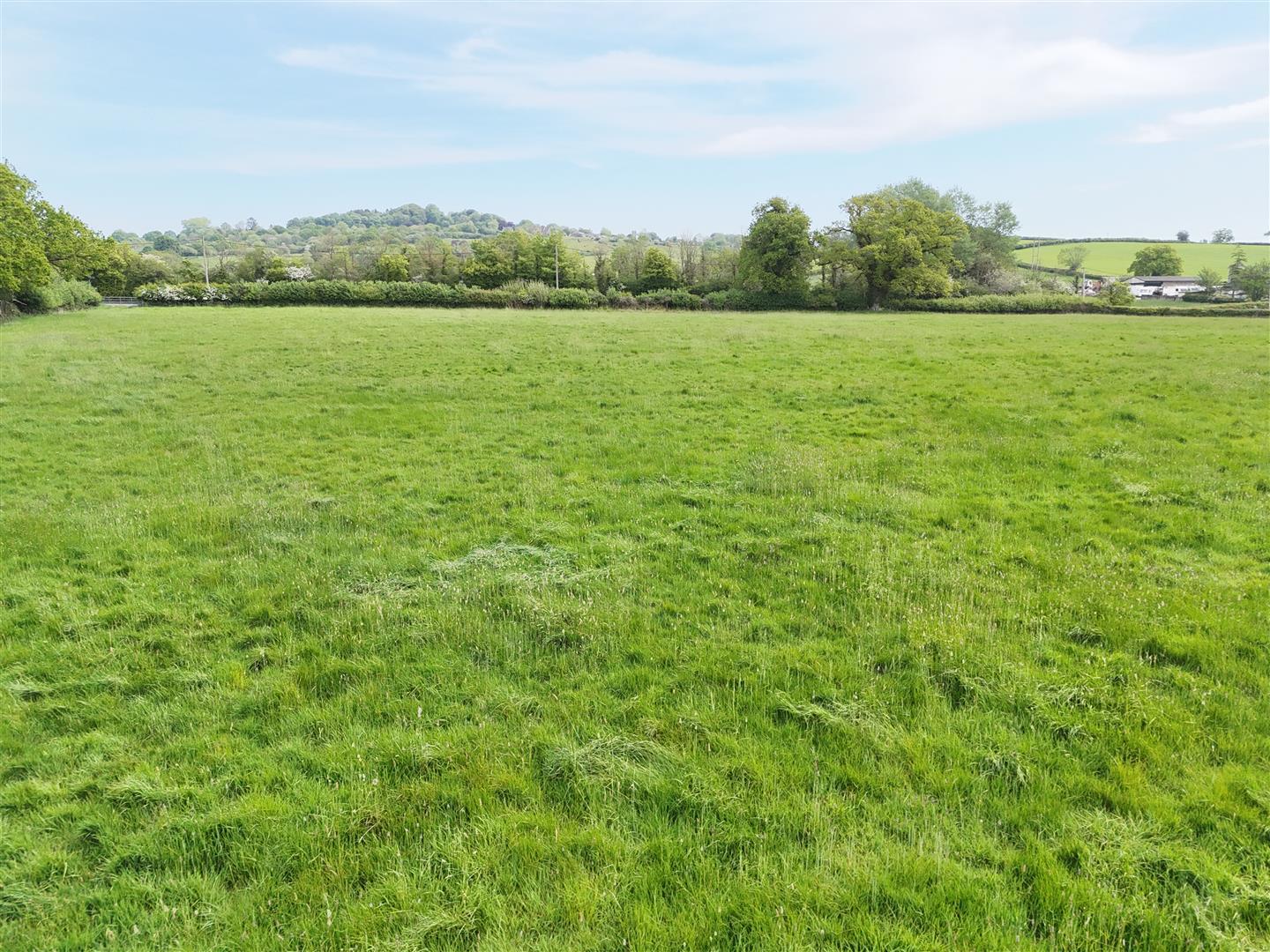 Cole's Lane Cherry Orchard, Shatesbury, Dorset, SP7