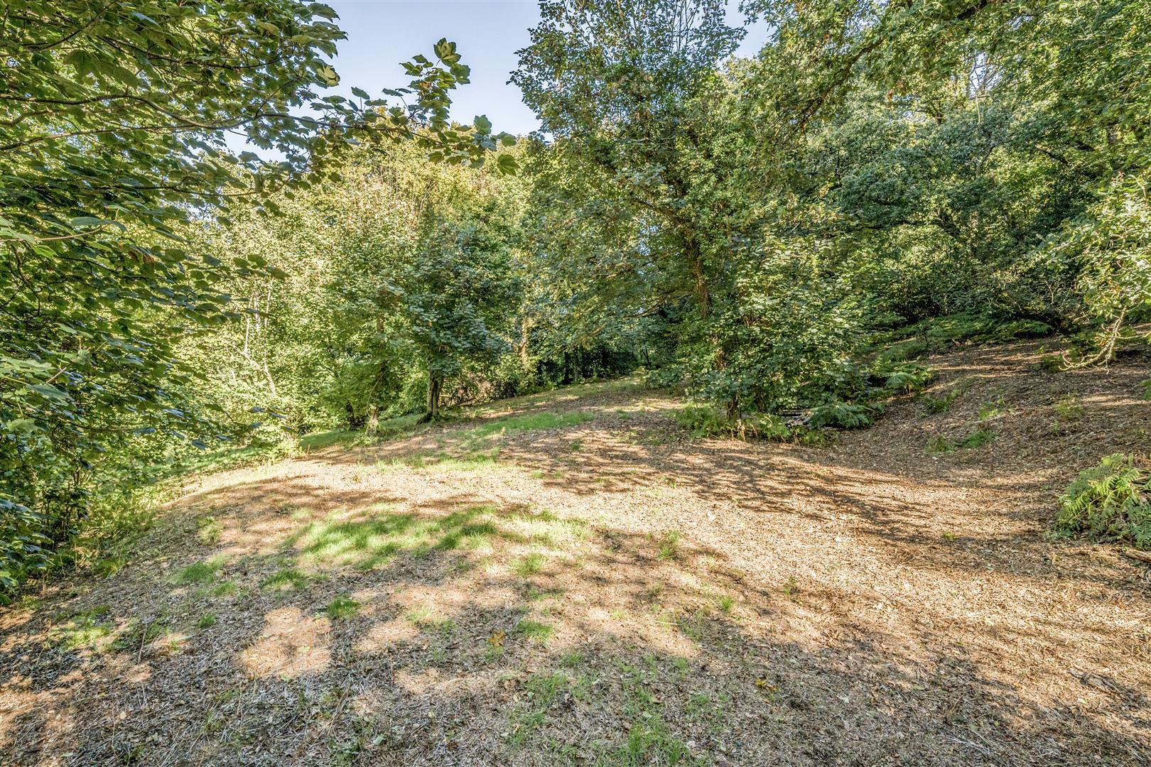 Property Image ef60627f-e181-420e-9018-39ef4ca15576