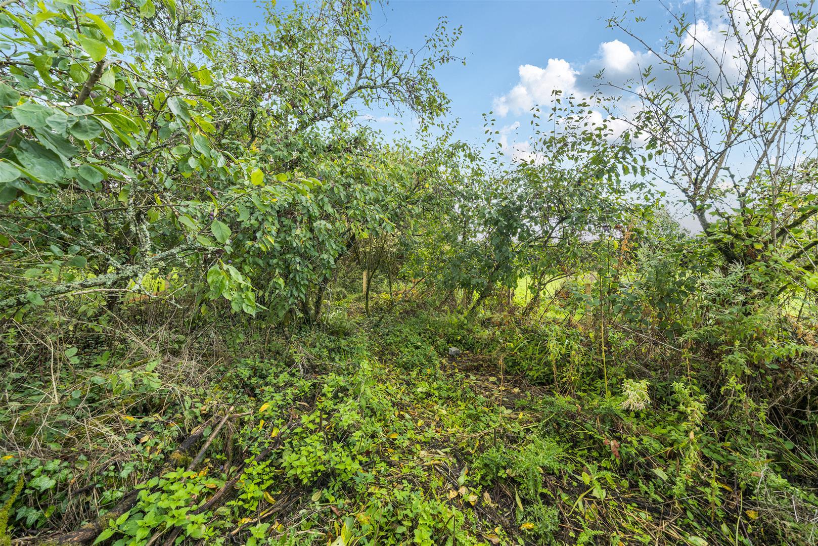 Property Image ef8b45b0-648b-4395-b62f-b3d28d713fb9