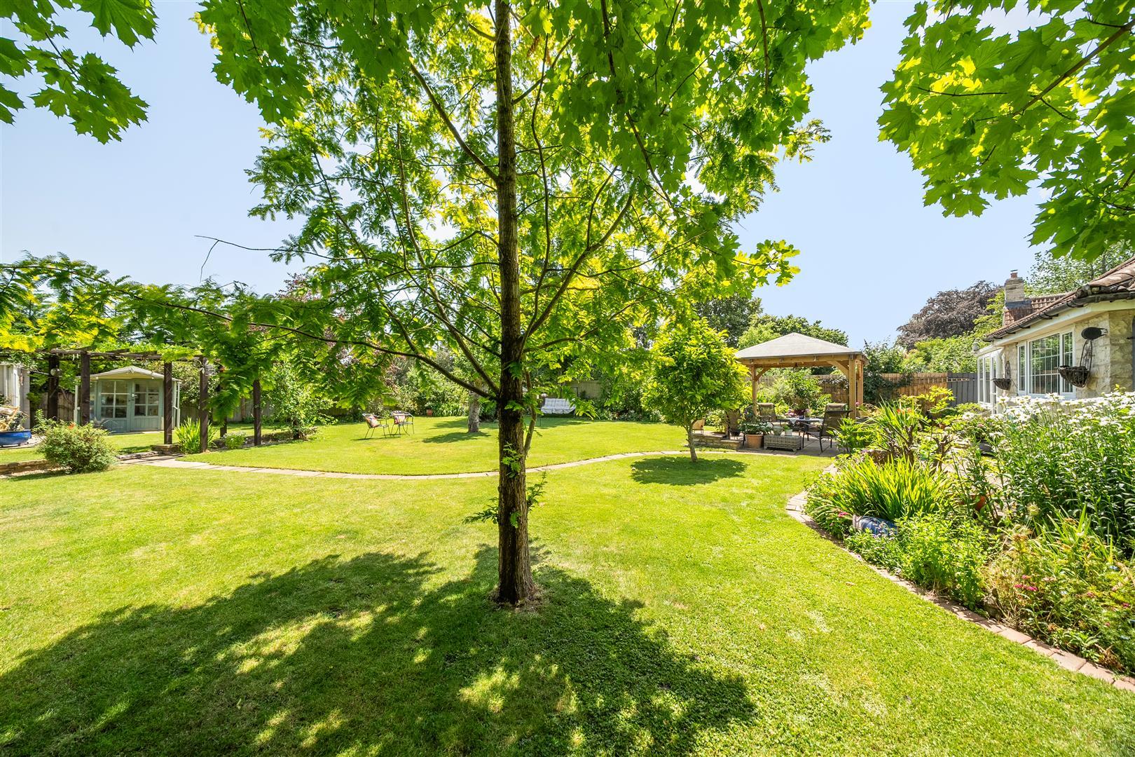 Property Image ef94c3a8-56ab-49e4-818f-5dac89c47523