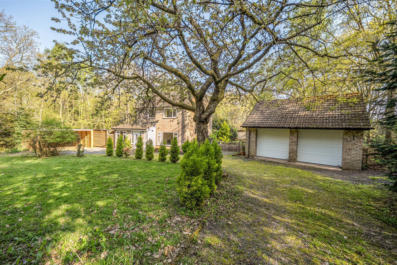 Property Image efbb892c-9134-44a6-bdd0-a6648e40d735