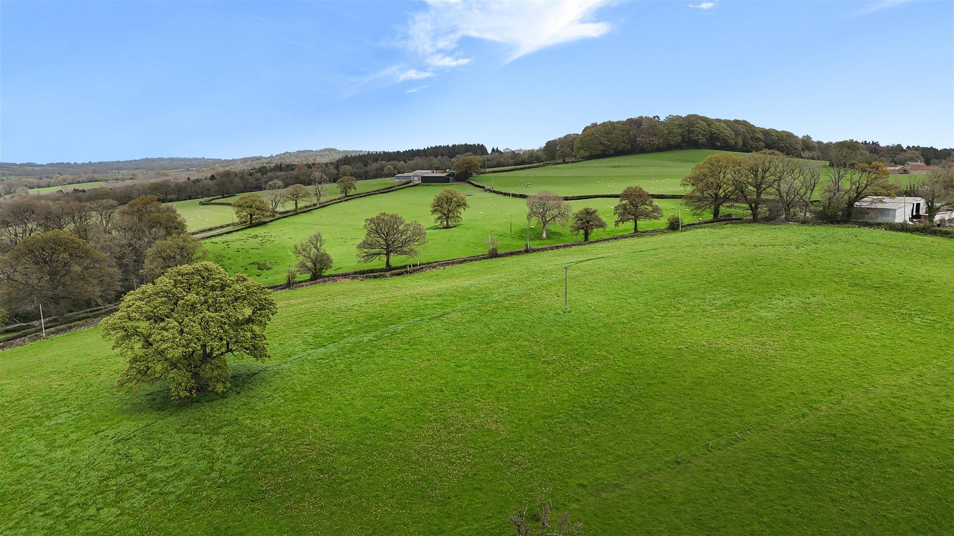 Property Image f08e07a7-0307-40ac-860f-e1f6ec1794b2