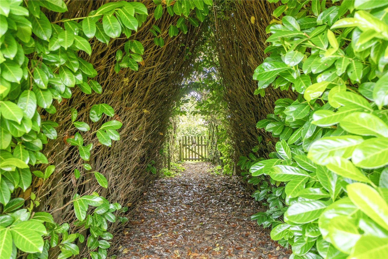 Property Image f0a7a277-0263-4507-a887-5495a0d5ddf8