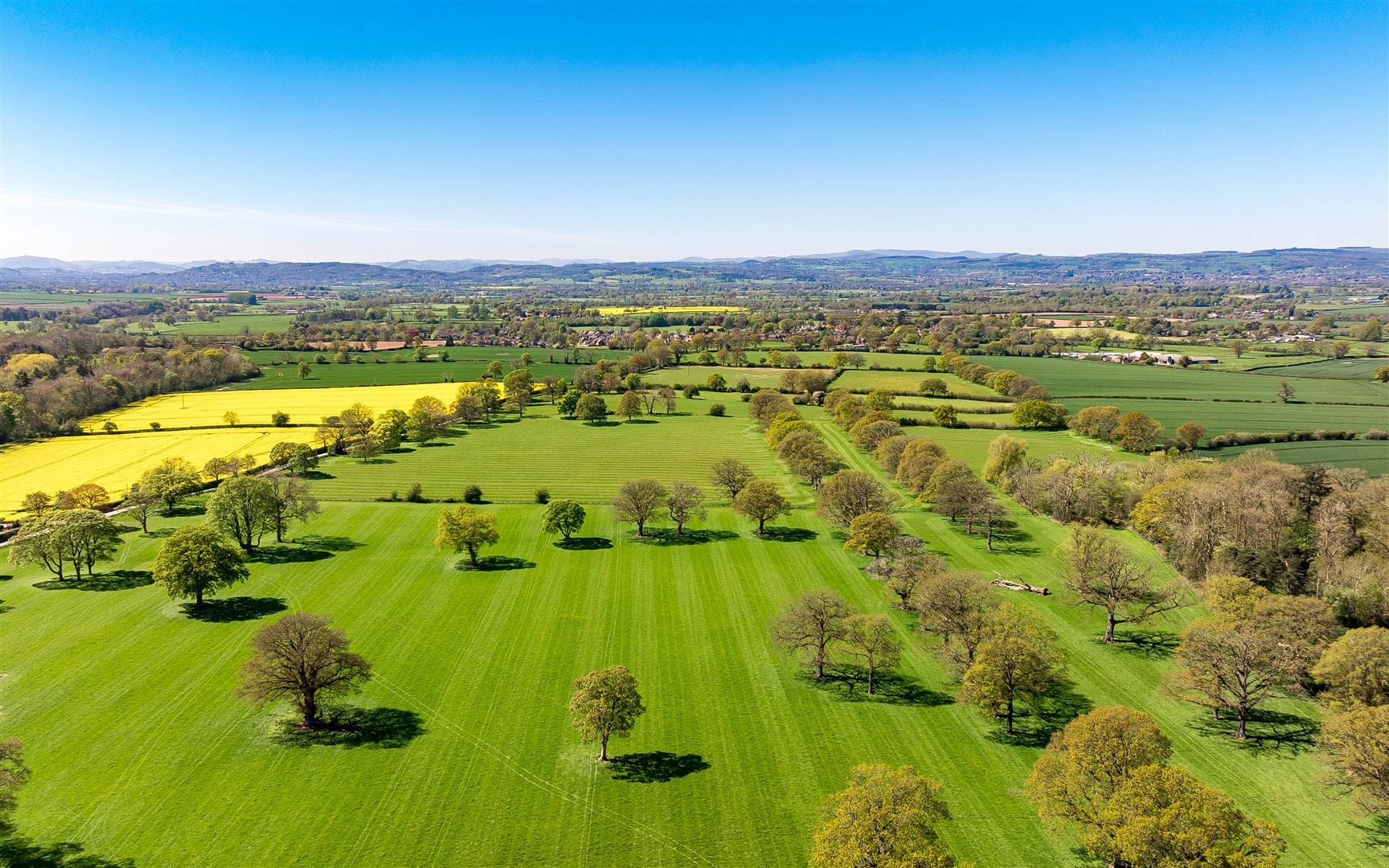 Property Image f0bb8792-feaf-4204-adec-8f7abdbd7ad9