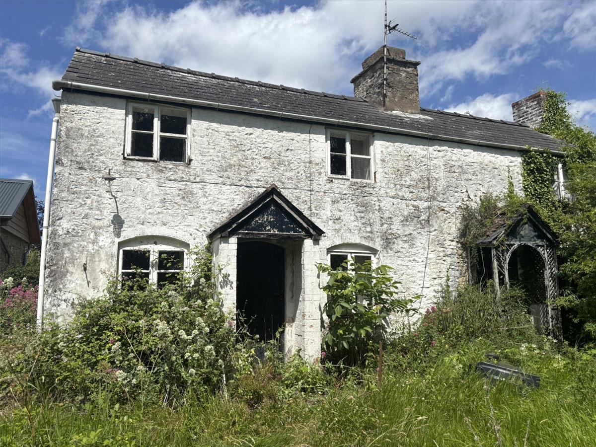 Property Image f0bd1166-e727-40e2-b1b3-a2dba6c476f0
