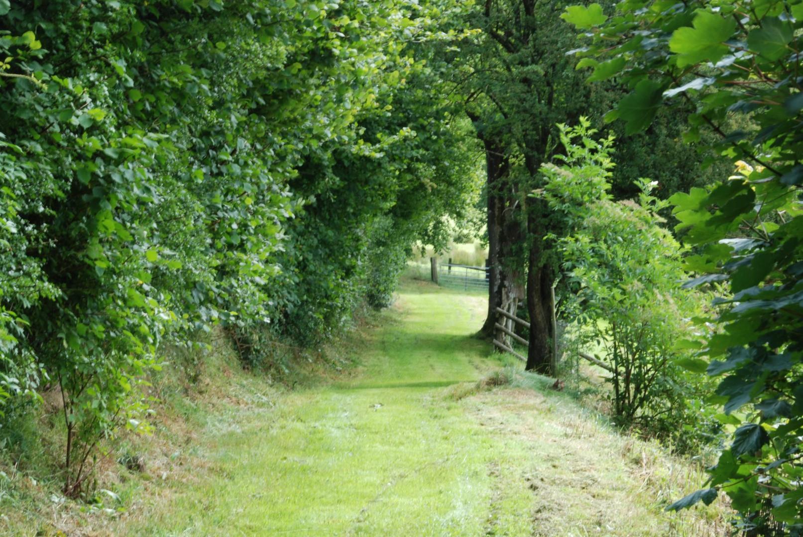 Property Image f0c2e3d0-196e-4ac3-ab82-450901ec1d88