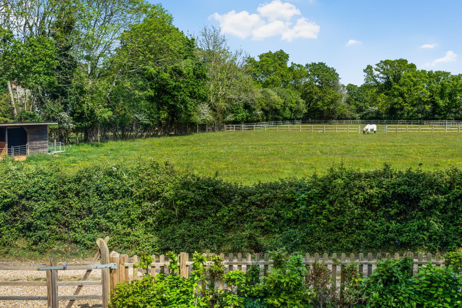 Property Image f0c45477-0e30-4530-b969-bf4fb515f326