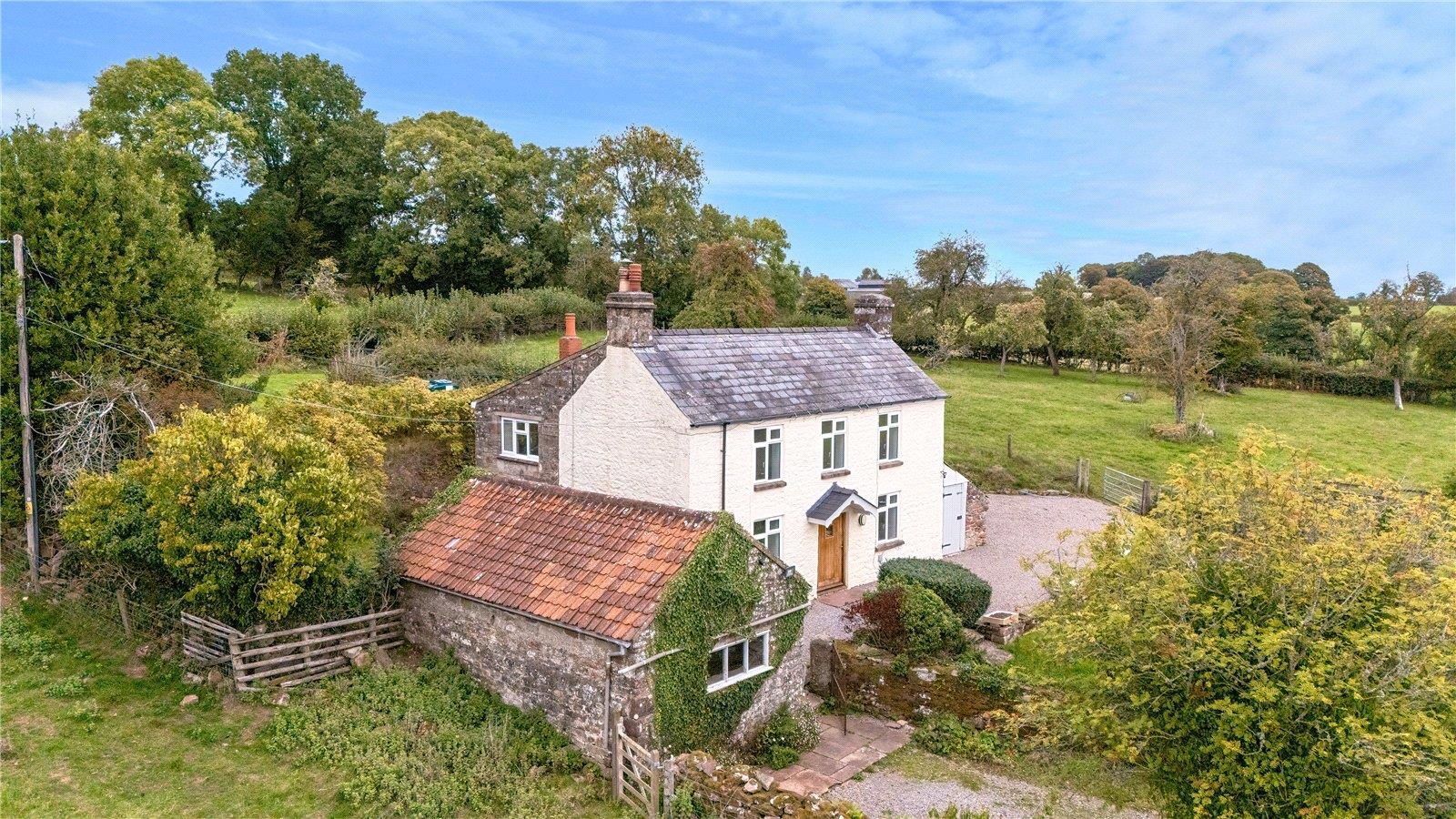 Property Image f0d8f7e4-4fd3-4a7a-85be-f542e0e82c34