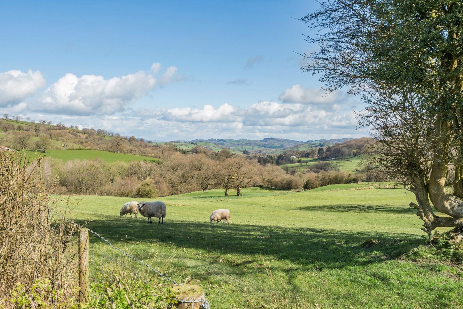 Property Image f0f0c816-581e-47c3-8c3f-d48cb79ca2da