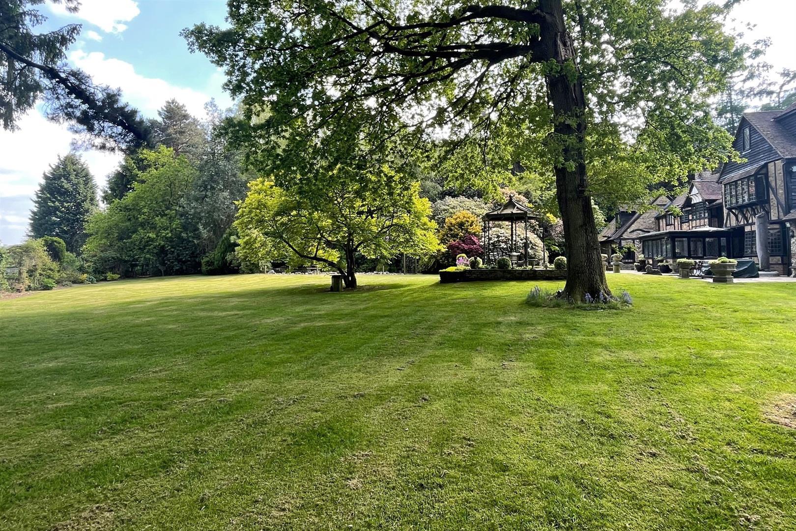 Property Image f1326a81-51f1-412d-adfc-690bf196e381