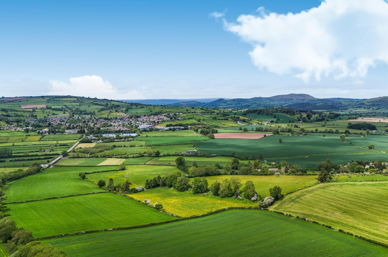 Property Image f22e2163-264a-4973-a45b-6b0c39fc4c76