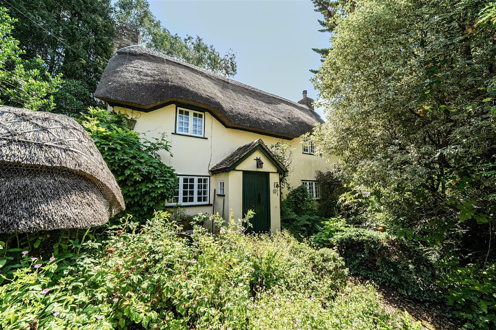 Property Image f239da45-1726-491f-9a15-8c65f0f5f8f4