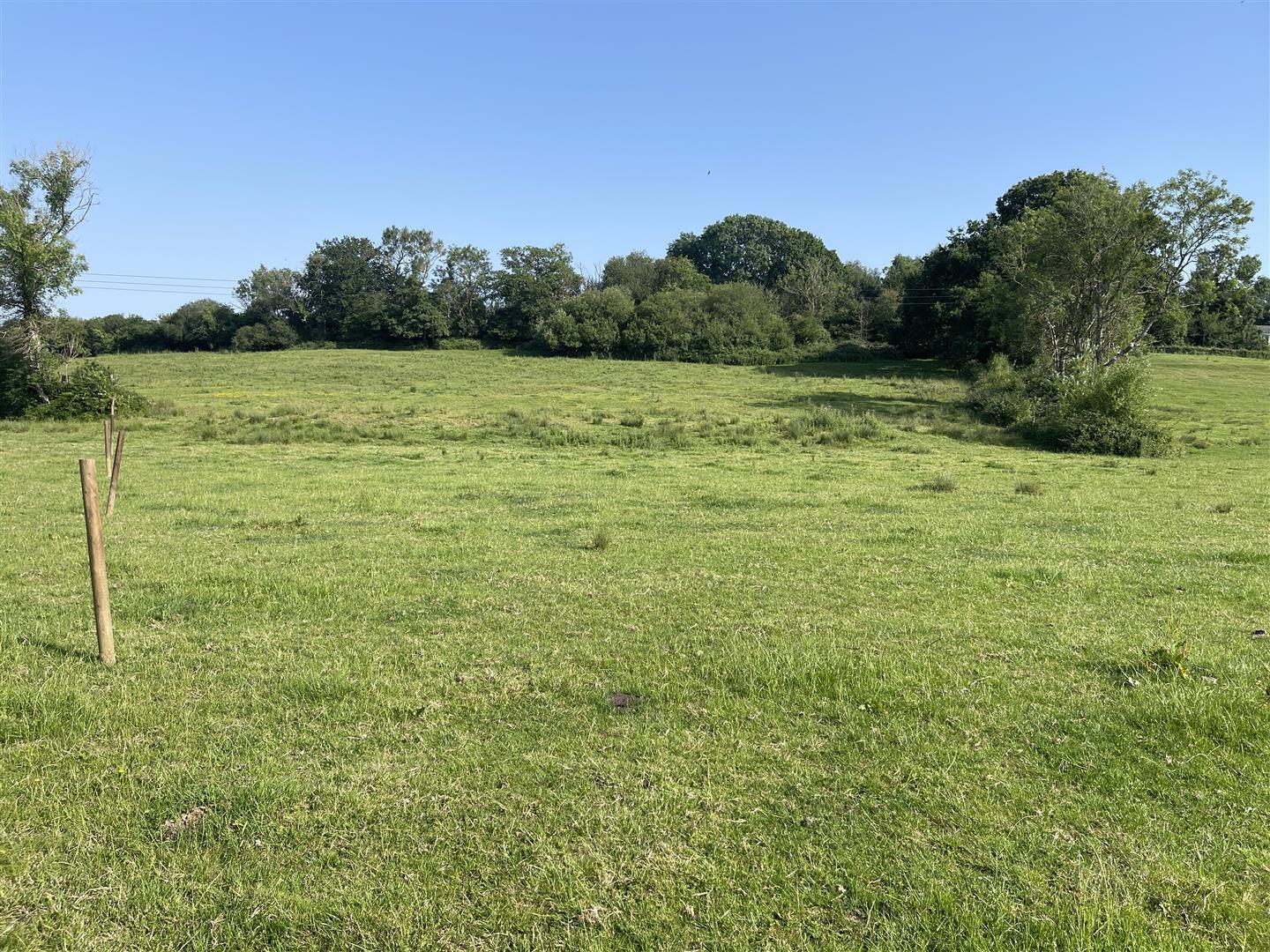 Property Image f266379f-12bb-41bd-b1e0-93da7892bb14