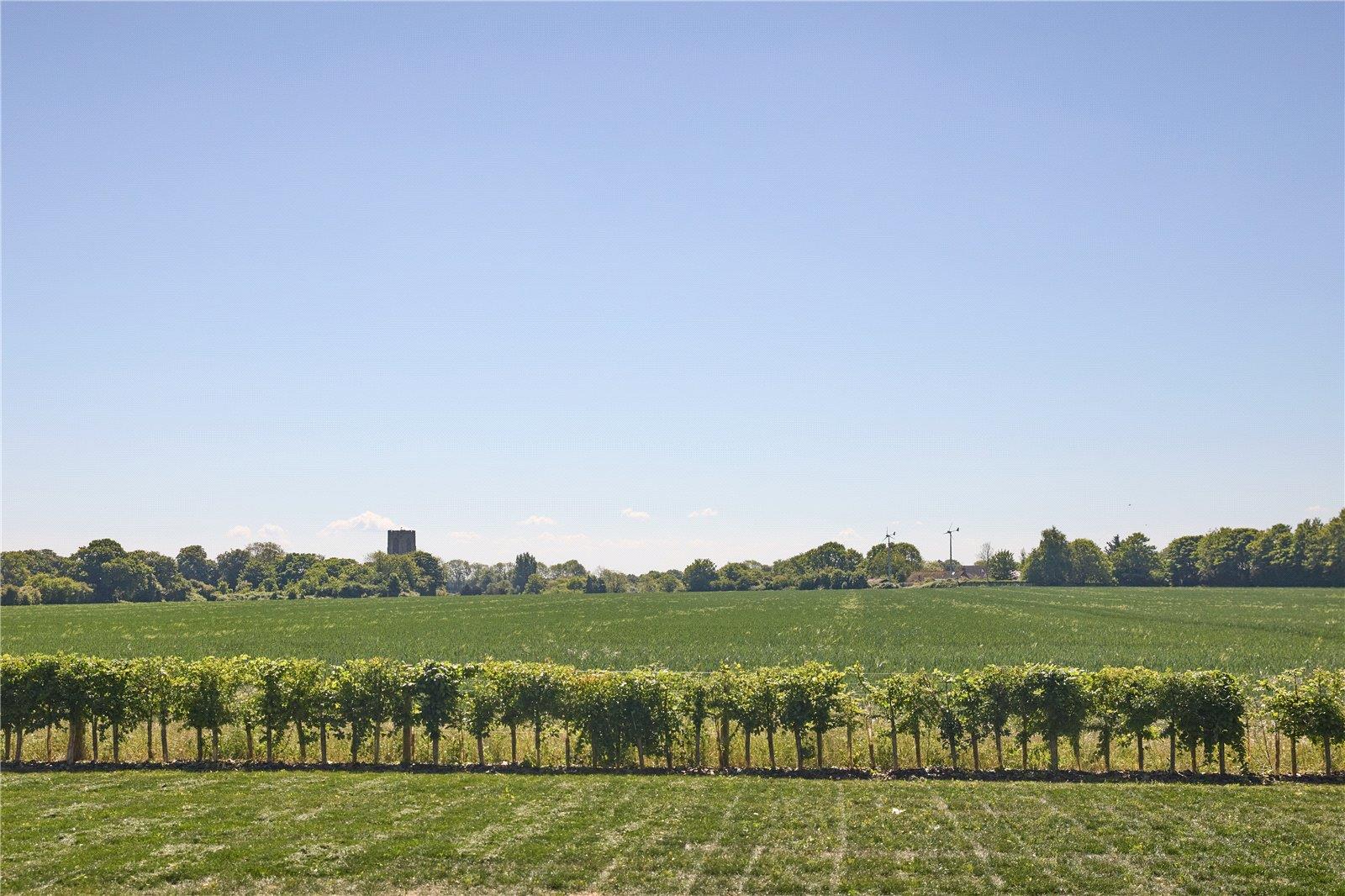 Property Image f266daf3-4e75-43b6-9f93-586298ba40af