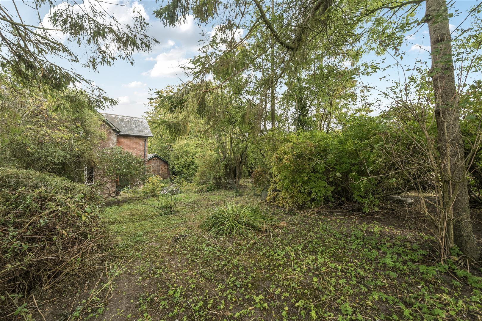 Property Image f29a82a6-02e6-44c5-9056-ed9ead9a8c30