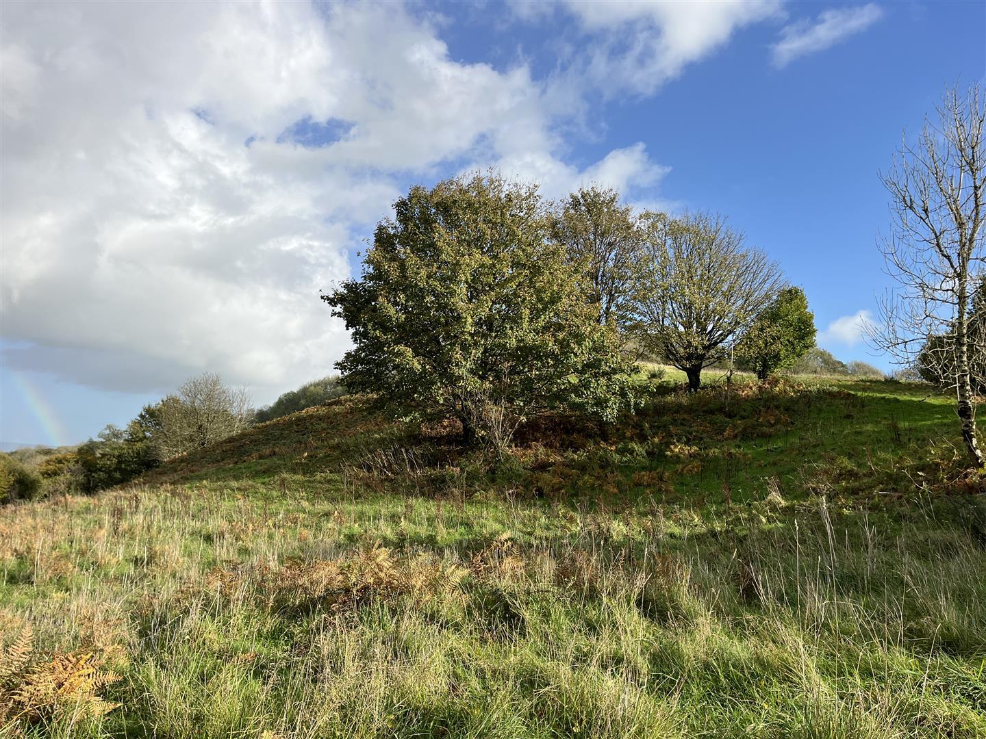 Property Image f2cddf7d-dbbf-4922-95be-d6fda9b1fe7b