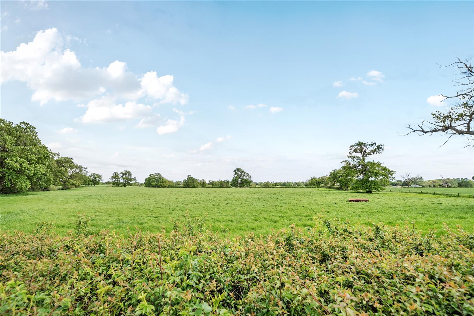 Property Image f2e4cd6d-3fd1-49cf-b1cb-33bdd3c74444