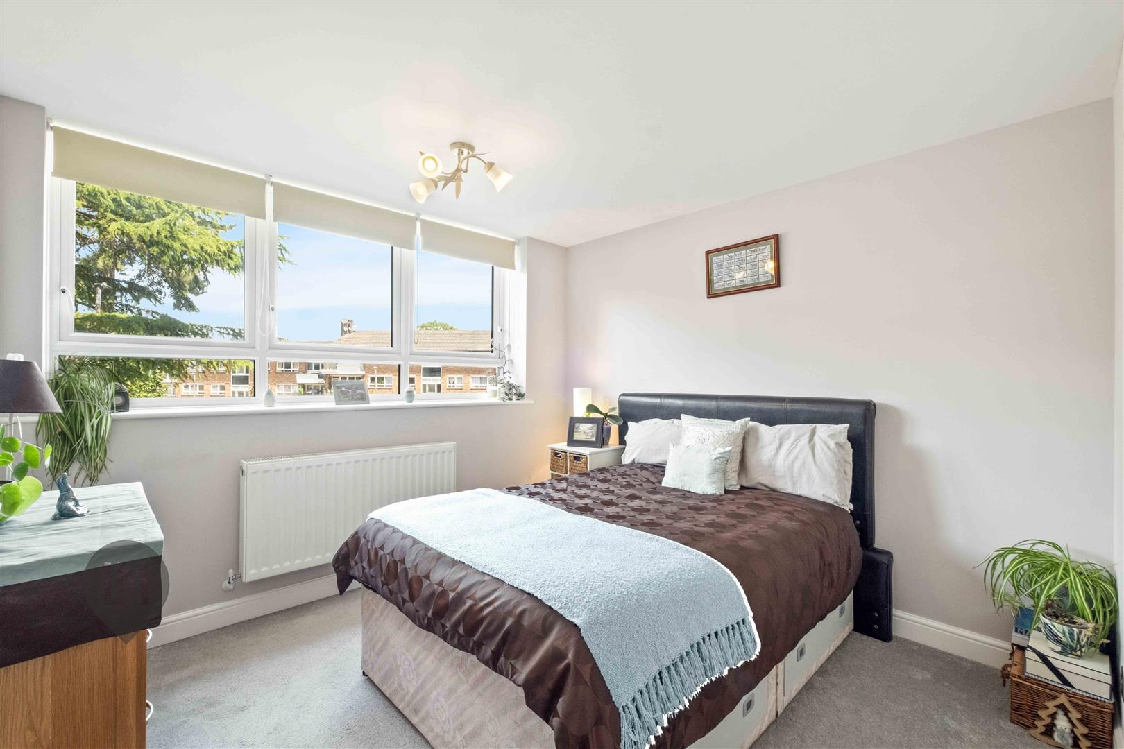 Property Image f2edc8a5-4e84-4af1-9771-4577d80f1f4a