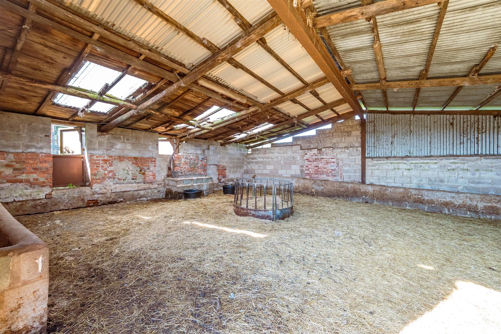 Property Image f30be8d1-5077-47bc-b41b-8e7dbf94bd6a