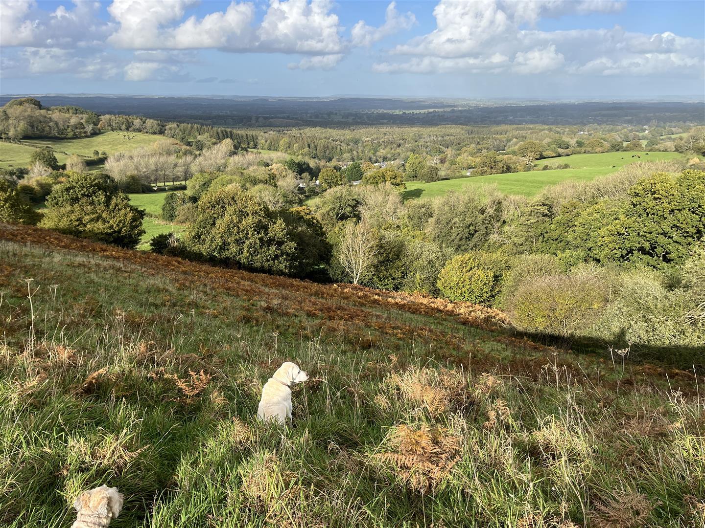 Property Image f34c4b81-80dc-4962-bd8b-9c0008161a5b