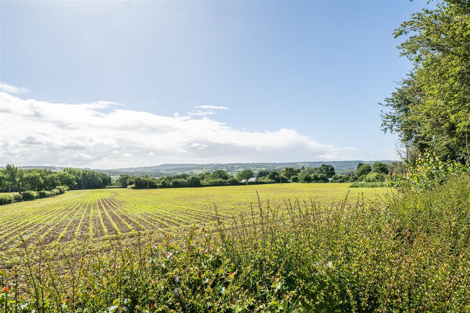 Property Image f352a0cb-c432-4eb8-b63a-9db2666cb4a5