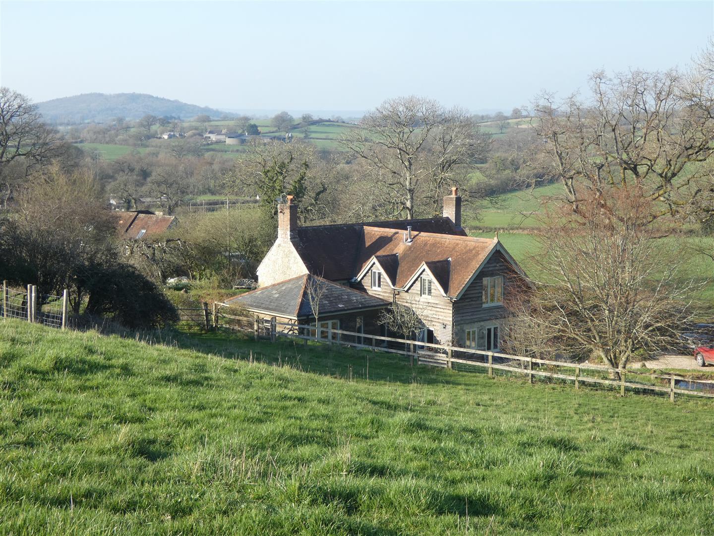 Image 19