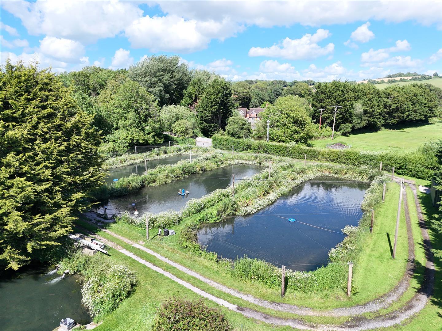 Property Image f3b9ac53-39a9-42b9-b30b-f9849e26616b