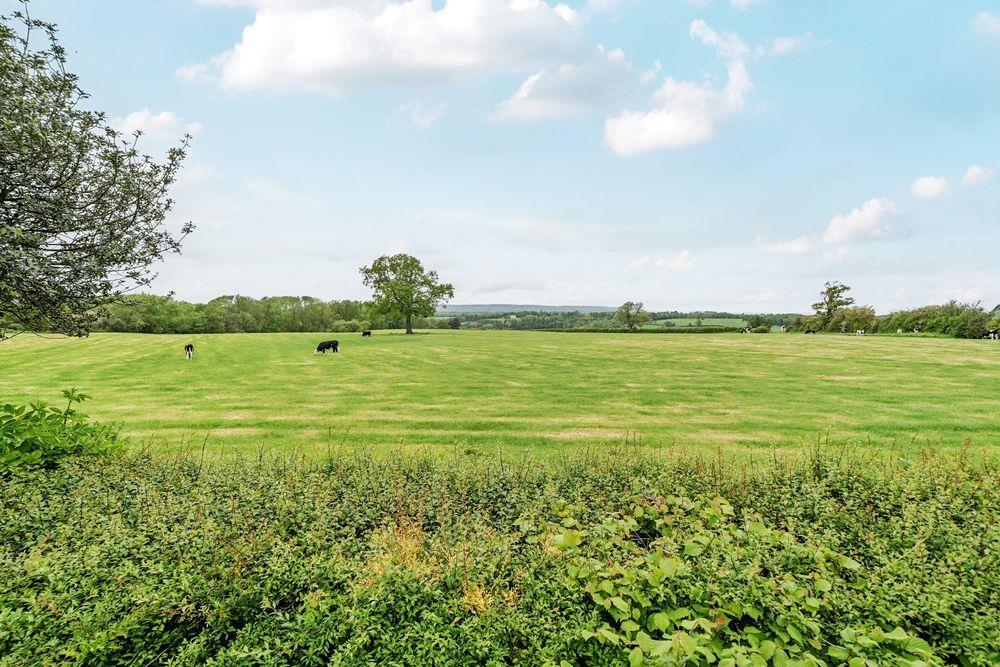 Property Image f3beb349-325c-4ddb-8cf4-a14bc1b6b254