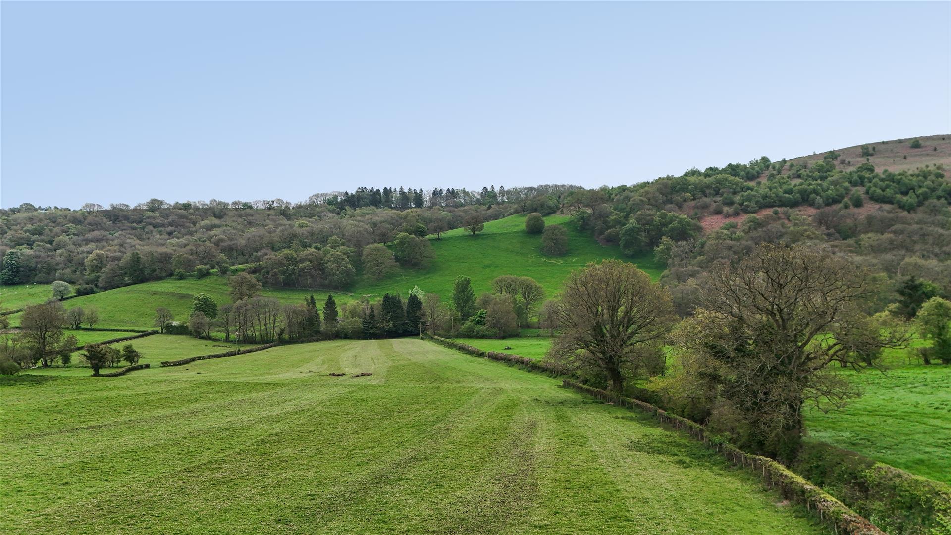 Property Image f3e3bebc-4ea9-4521-b9a3-376f6c063f22