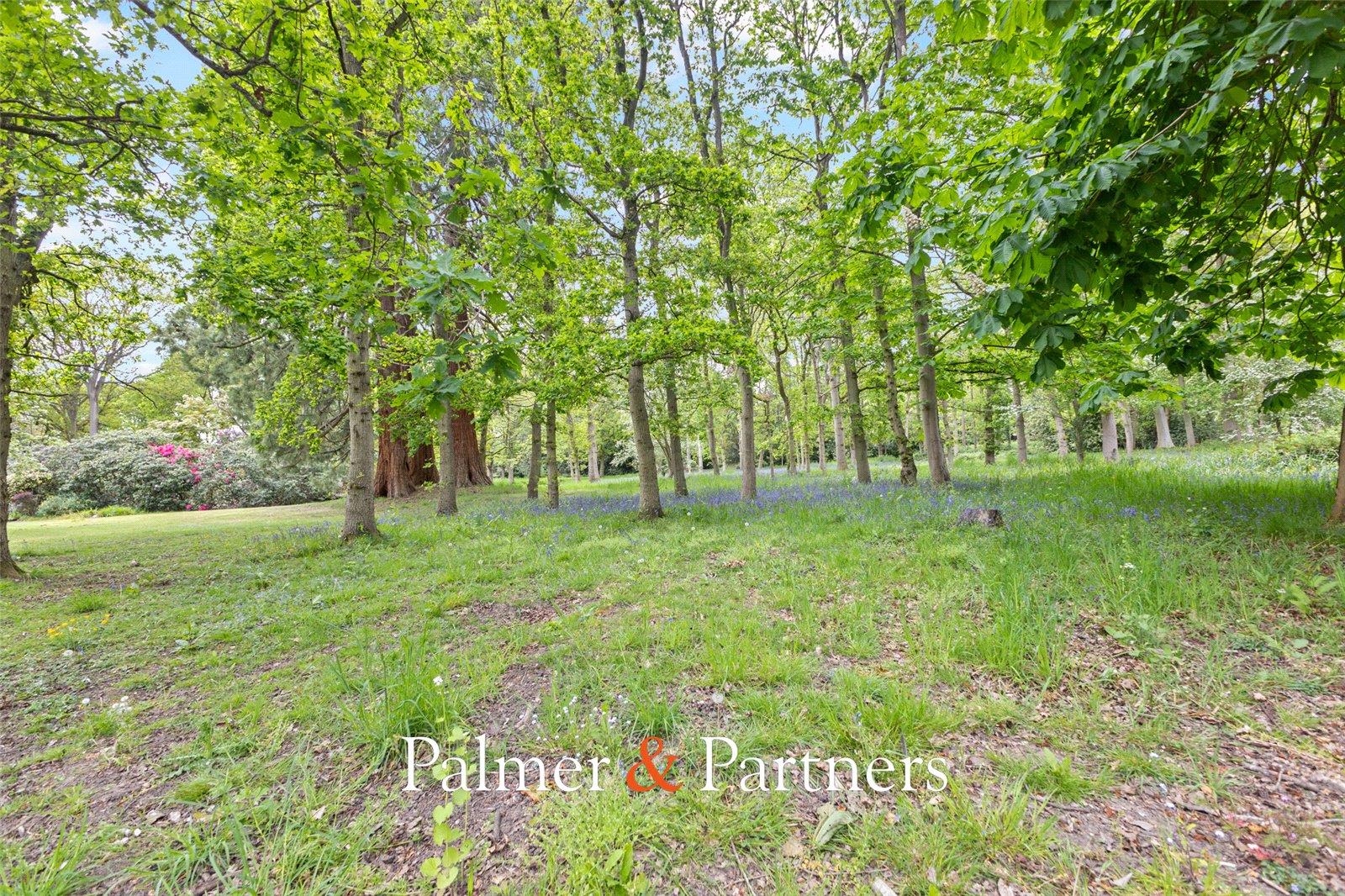 Property Image f3e891e8-b79b-4877-957a-8996785163fa