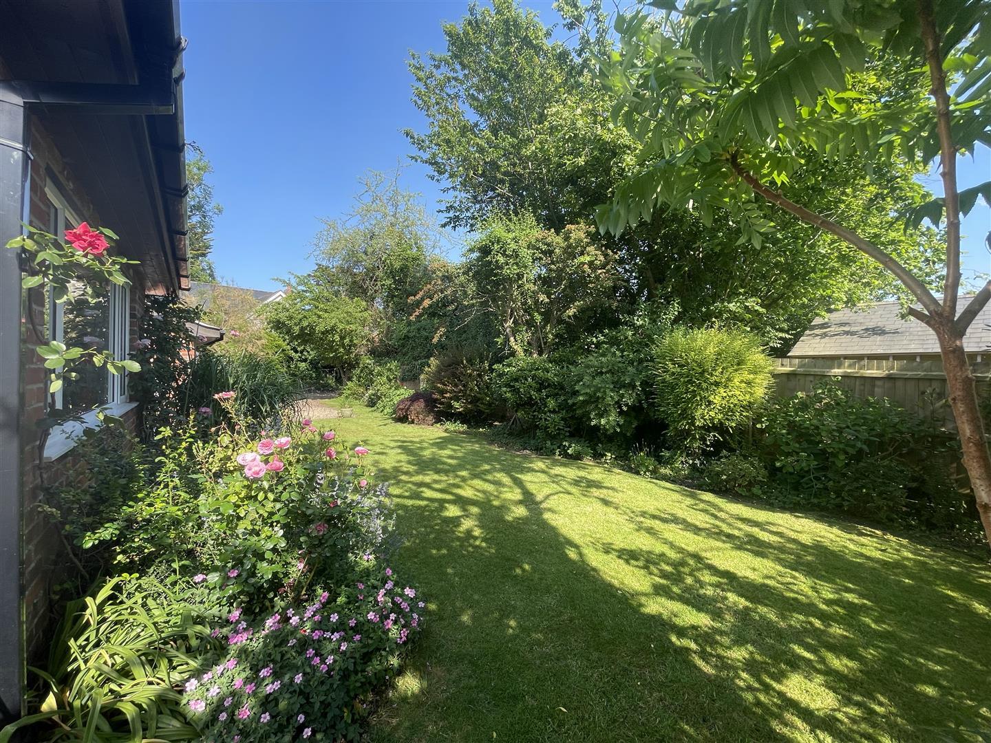 Property Image f3f78b35-03f6-4e42-b590-9d6bcbd77513