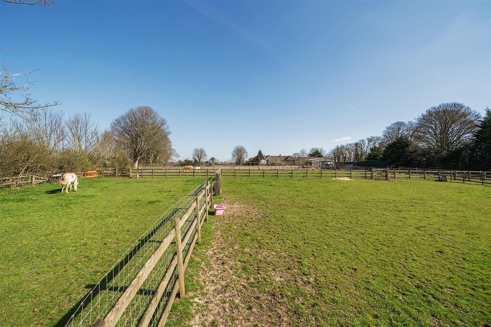 Property Image f3f9d002-c18a-4051-b496-be16cf2925f8