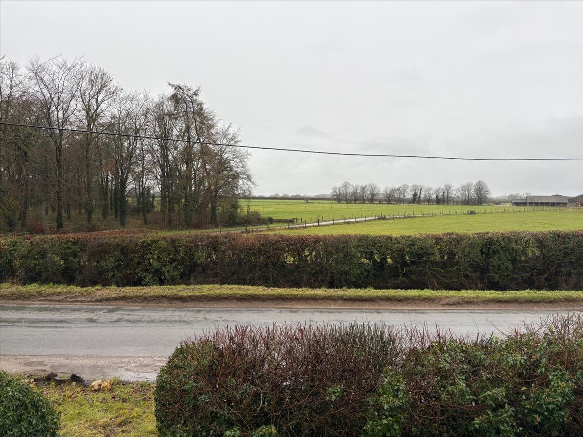 Property Image f4a1bdbf-36ef-4983-97c5-1e7b2ac23c37