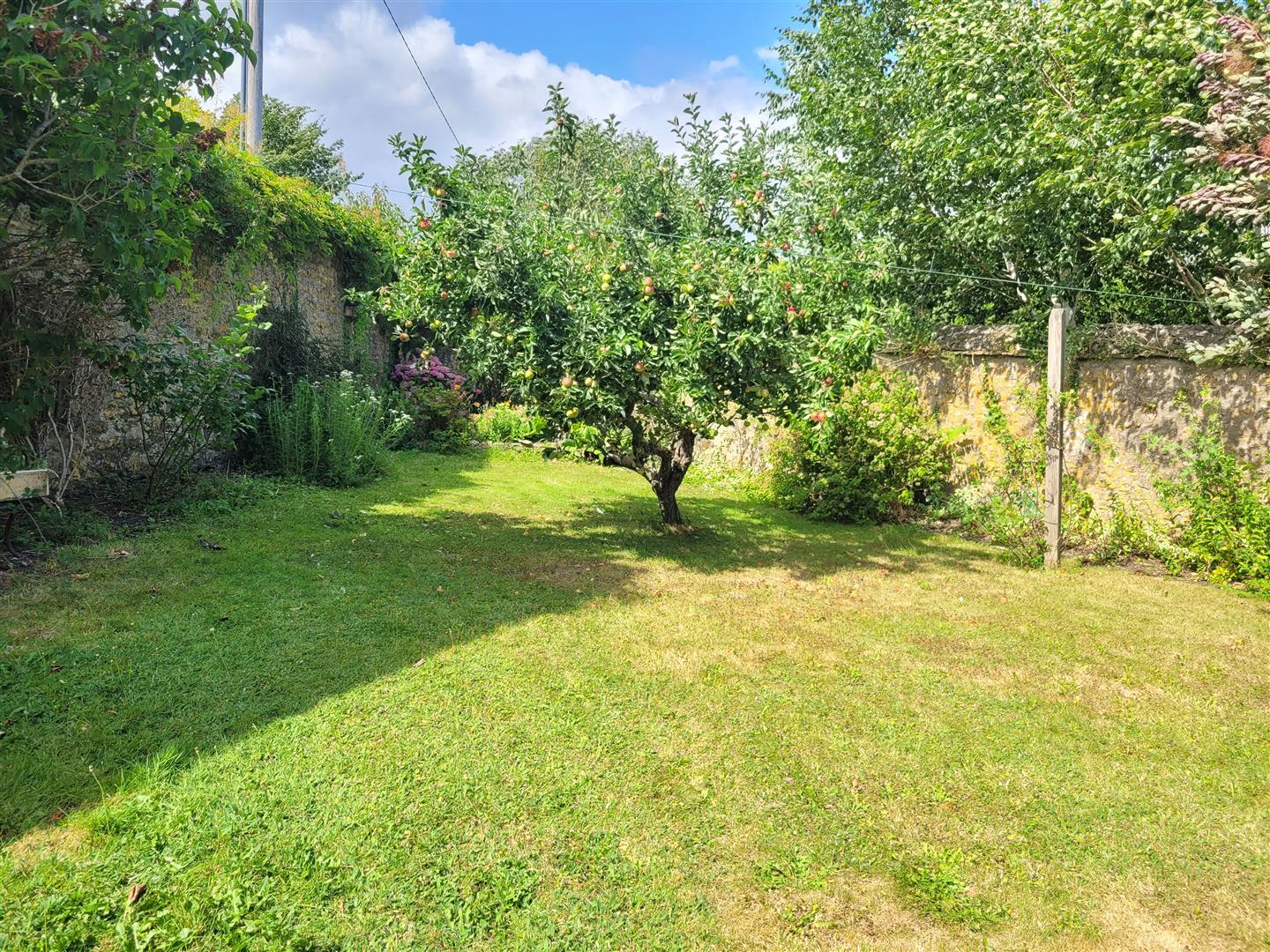 Property Image f4b49017-91c1-43c9-a509-bd9072c628a0