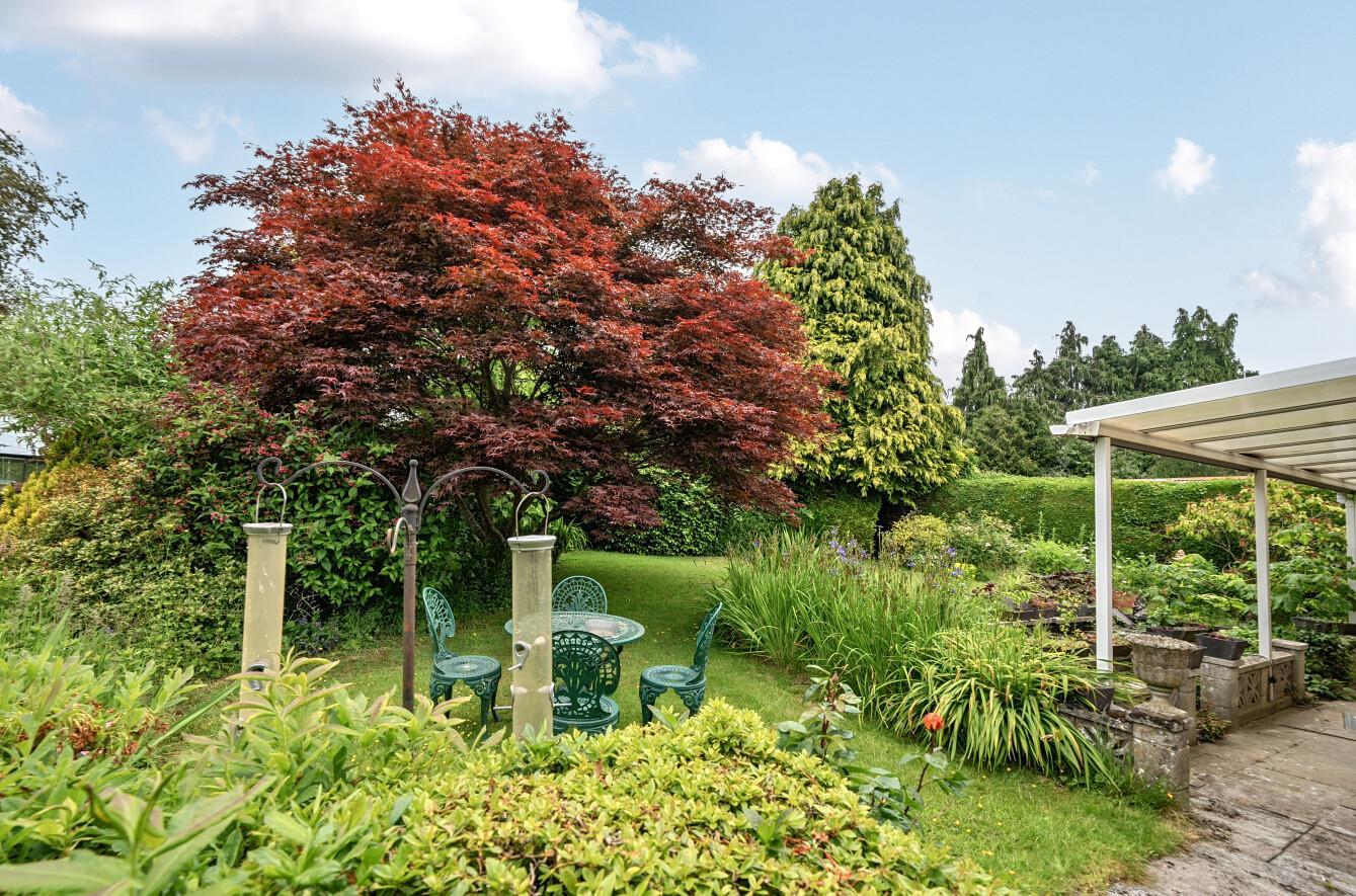 Property Image f4baa4c8-3849-4483-9f4c-ab39a20ab62e