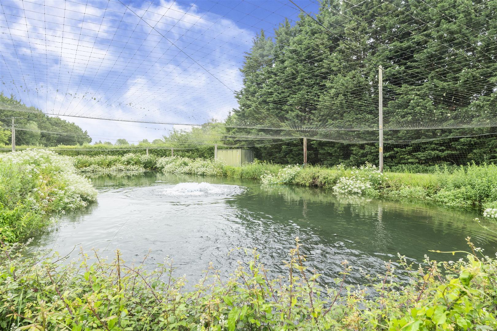 Property Image f4e30539-2cd0-44c4-9018-03b58f77ce77