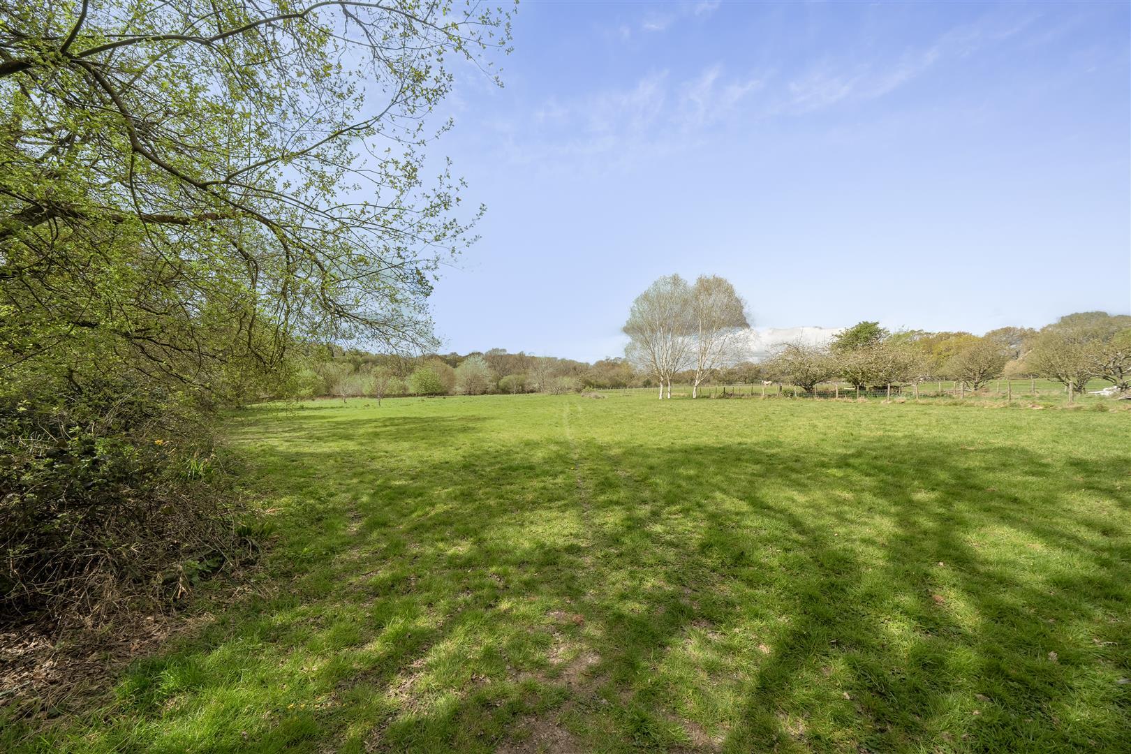 Property Image f5094c99-60fa-498b-b08d-4305d5bcce93
