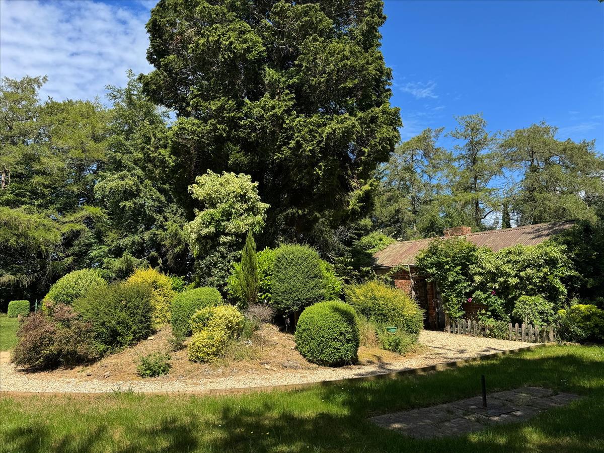 Property Image f560c7d9-d8ab-4b5c-88a0-0809f3ca34d6