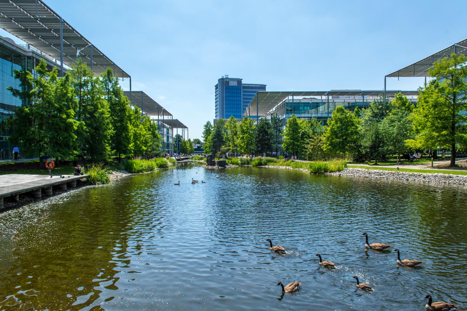 Property Image f5a7984d-77b3-4c64-af8f-27d98c1af69a