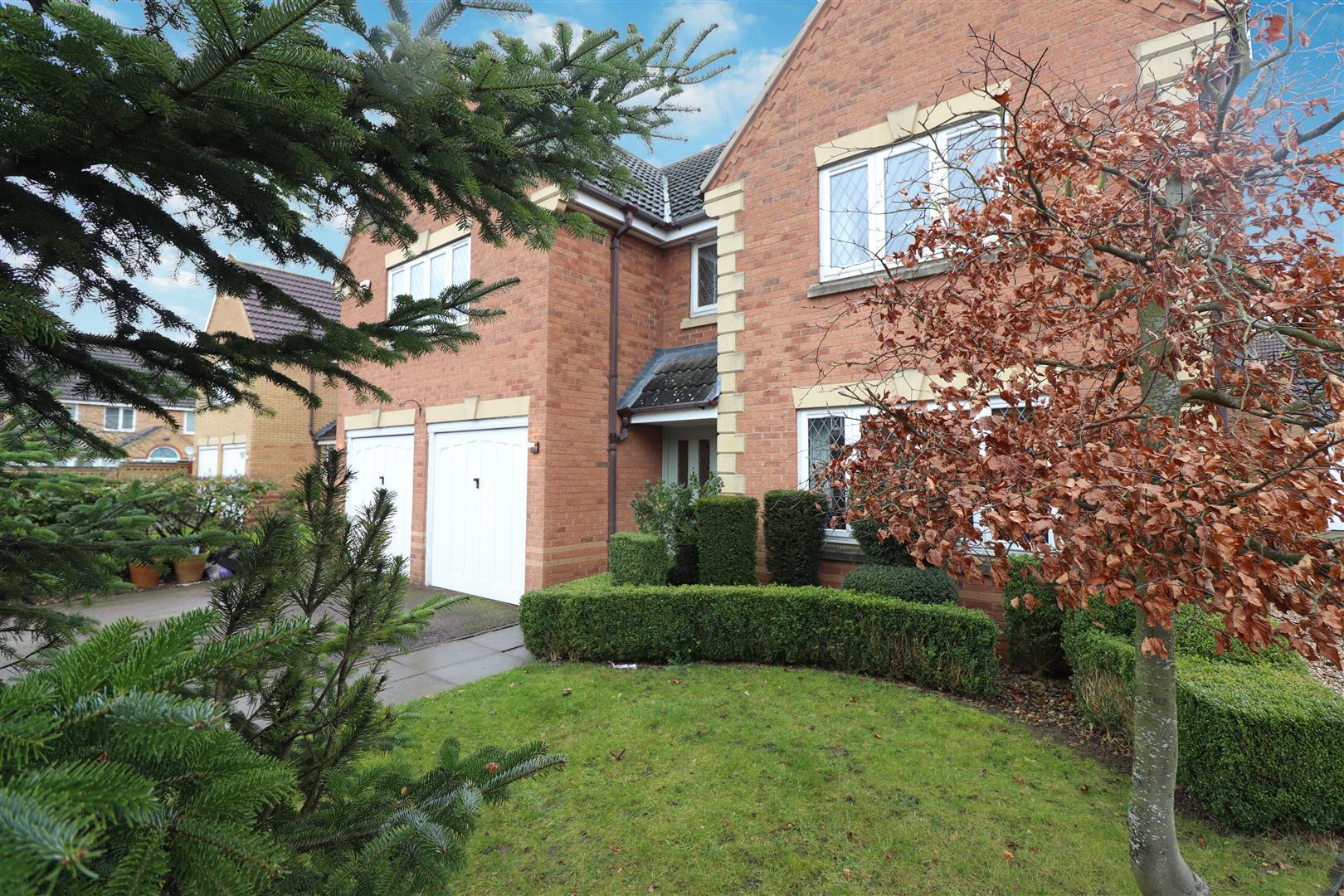 Property Image f5b9f50e-40f9-45dd-8361-62c7e6df8202